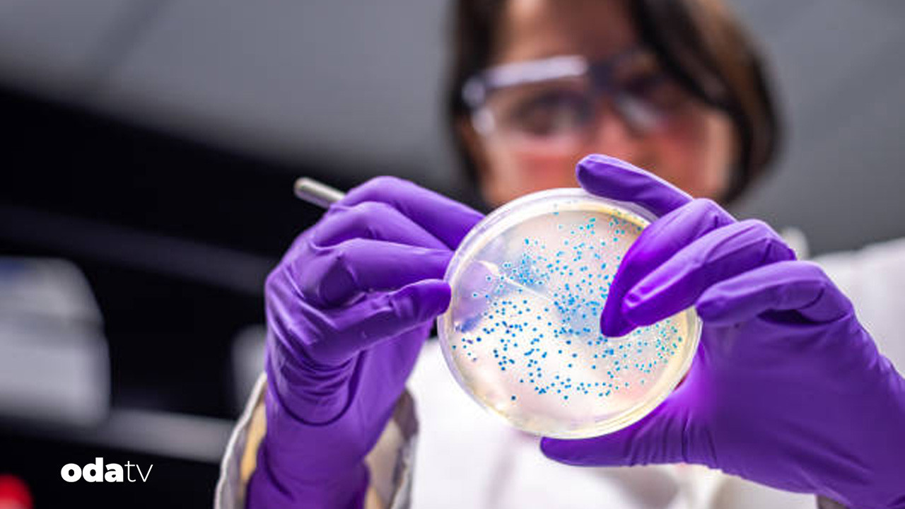 ABD’de 10 eyalette salmonella alarmı: 7 kişi hastanelik abdde 10 eyalette salmonella alarmi 7 kisi hastanelik 6td3VhiI