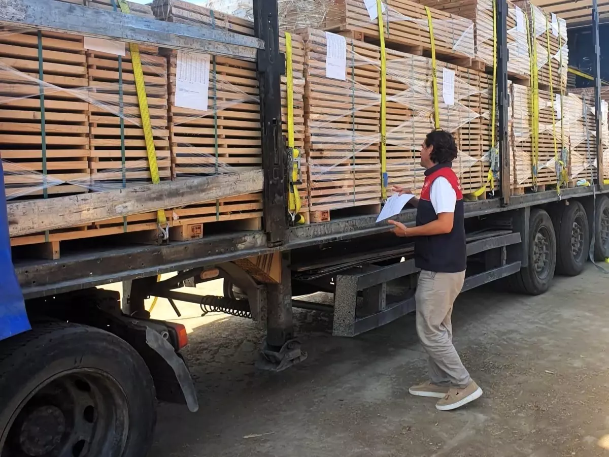 kirklarelinde ihracat denetimi 8TsWT2SW