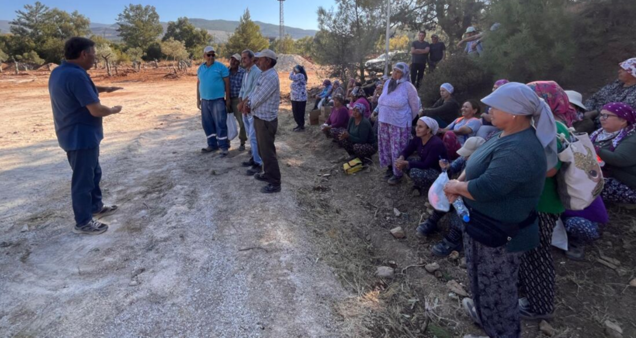 Kömürcü şirket zeytin dikim alanına tur düzenlemeye başladı “151 zeytin söktük 151 tane daha sökeceğiz” komurcu sirket zeytin dikim alanina tur duzenlemeye basladi 151 zeytin soktuk 151 tane daha sokecegiz aj4tR93S