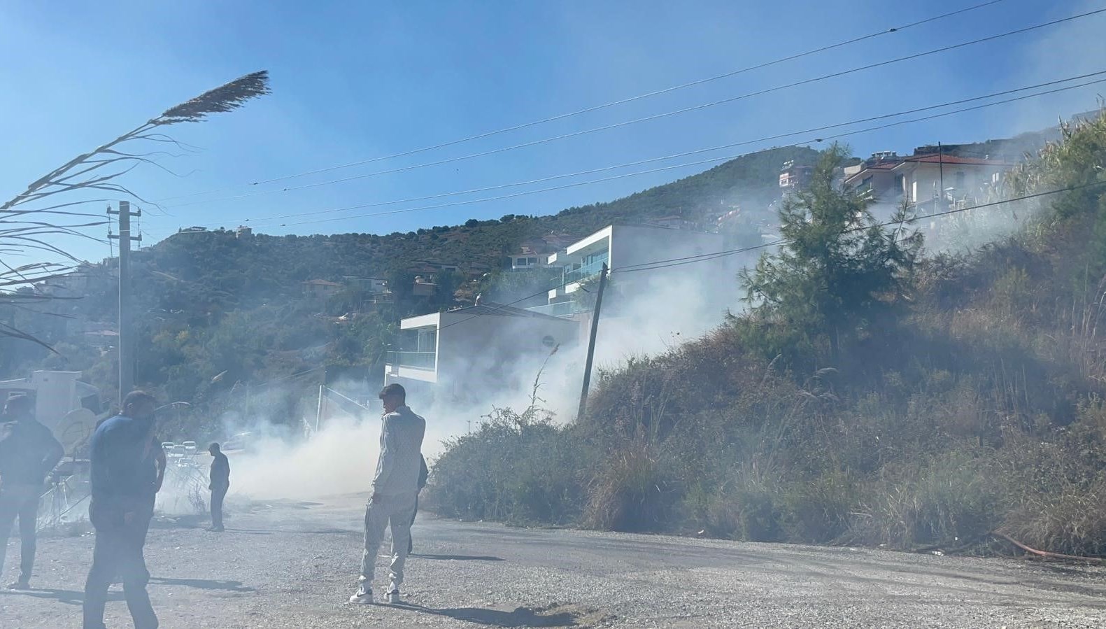 Alanya’da ormanlık alanda yangın