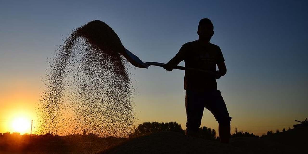 Çiftçileri sevindiren haber geldi!
