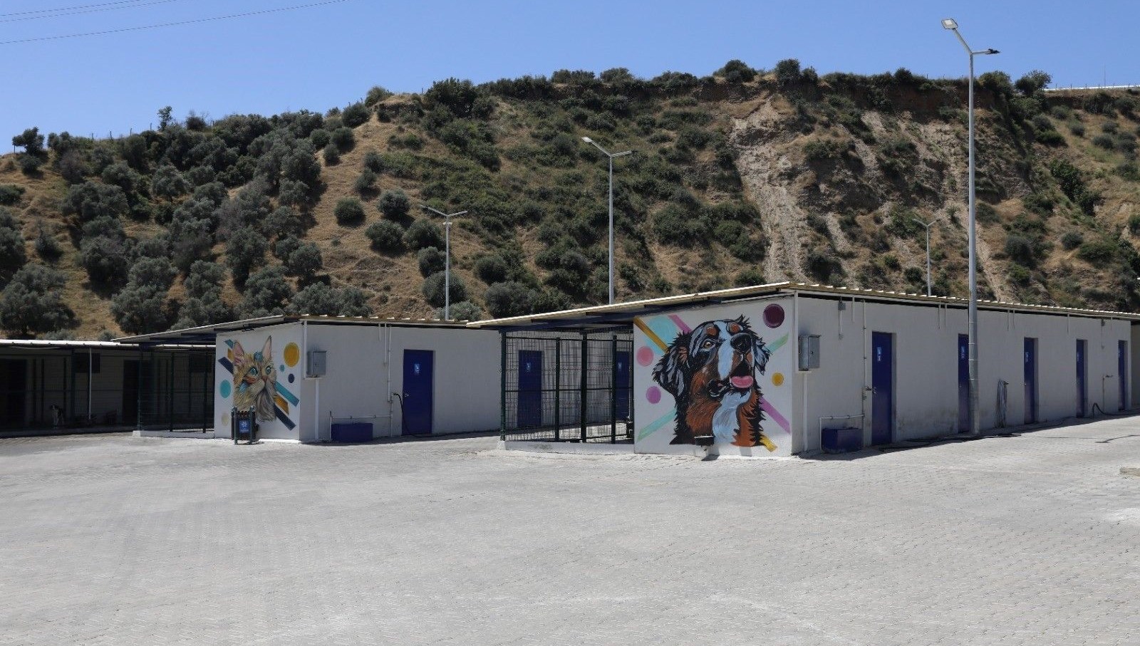 Sokak hayvanları için 244 bin metrekarelik yaşam alanı sokak hayvanlari icin 244 bin metrekarelik yasam alani uFzYzPjC