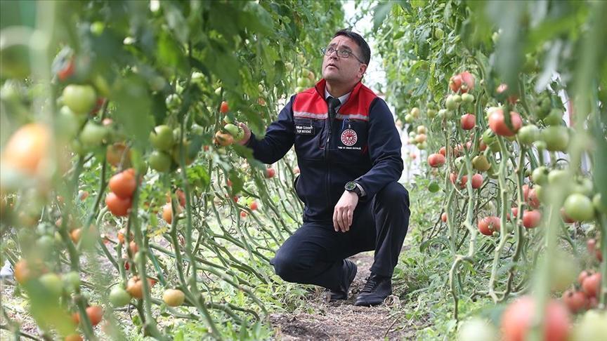 ziraat muhendislerinin olusturdugu sera vatandaslara ilham oldu KpPdrBGd