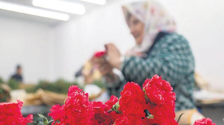 Çiçek gibi ihracat!