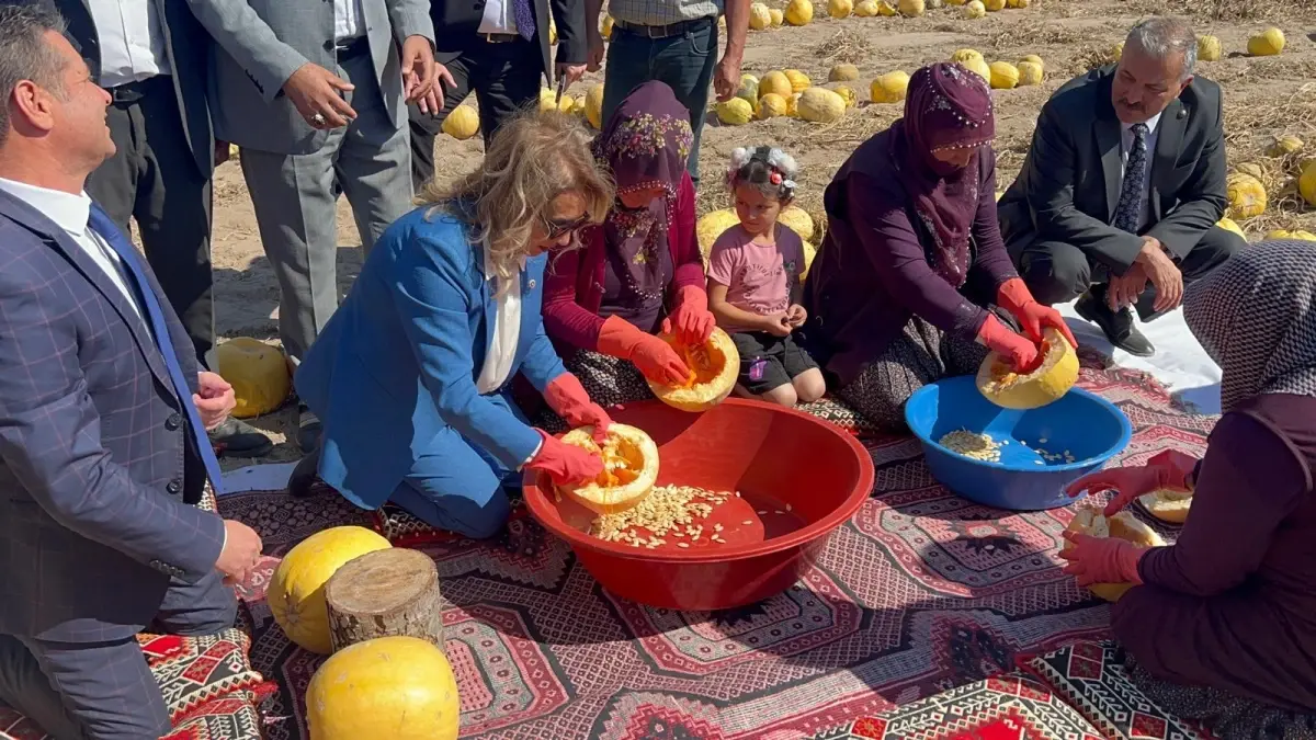 Kapadokya’nın Sütlü Kabak Çekirdeği Dünyaya Açılıyor