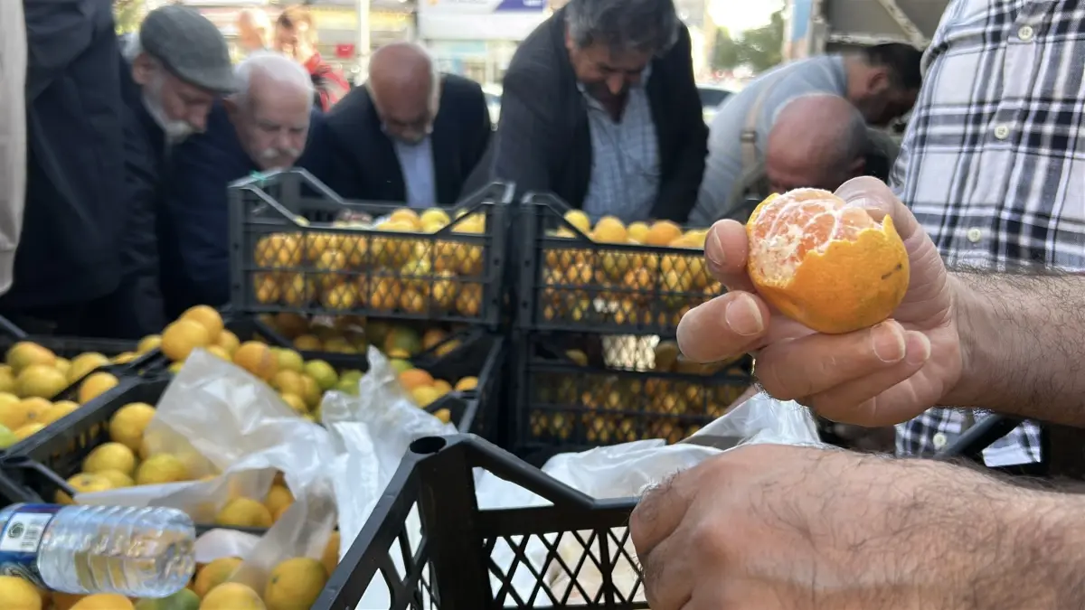 Samandağ’da Mandalina Ücretsiz Dağıtıldı