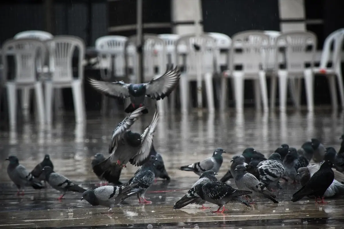 Sındırgı’da Sağanak Yağış