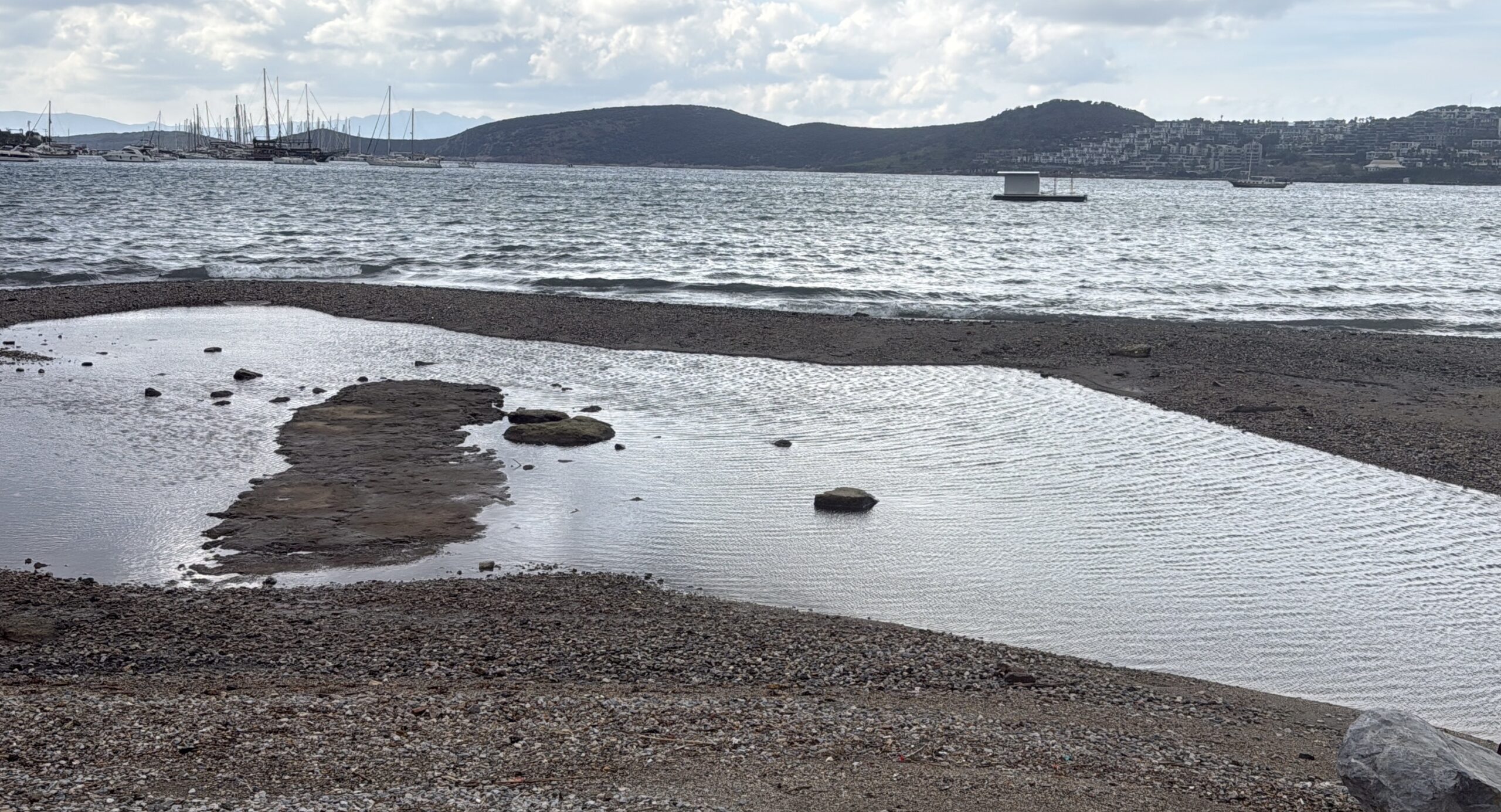 Bodrum sahilinde korkutan görüntü