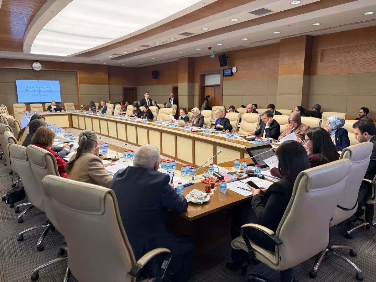 Çocuk Suçluluğu Araştırma Komisyonu Toplandı