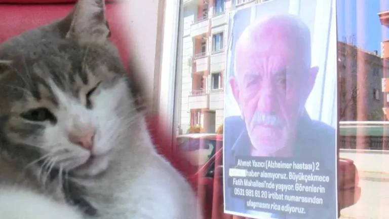kayip-alzheimer-hastasi-40-gundur-bulunamadi-yakinlari-ve-kedisi-zillionu-bekliyor-hMS92ZxX