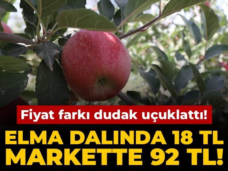 Elma Ağaçta 18 TL, Markette 92 TL! Aradaki Fark Şok Edici