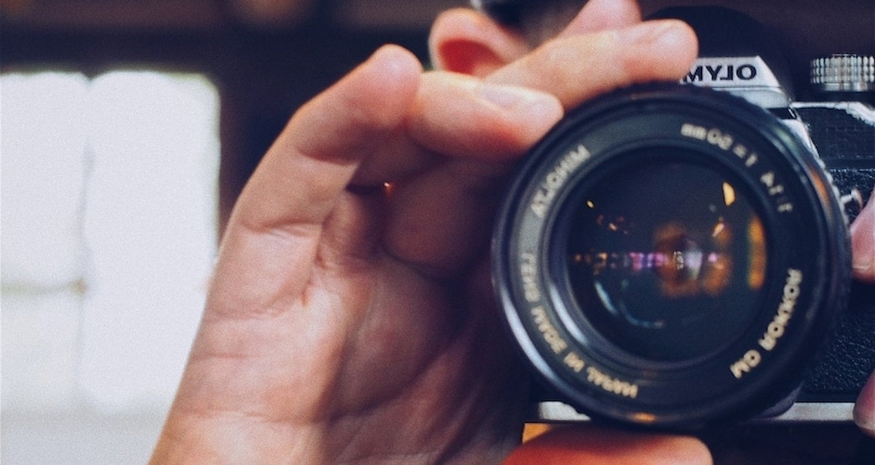 Doğa Fotoğrafı Skandalı: Ödüllü Kertenkele Oyuncak Çıktı