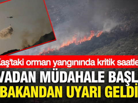 Kastaki orman yangininda kritik saatler havadan mudahale yeniden basladi bakandan uyari geldi LLhjq9l3